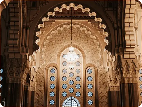 Information section image